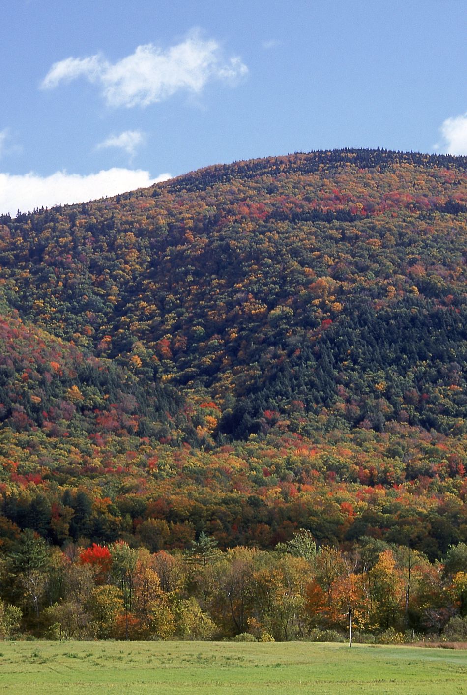 leaves changing color, mt equinox, manchester, vt