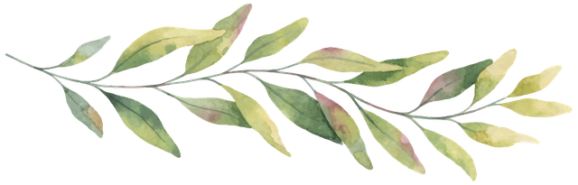 Leaf, Plant, Flower, Tree, Botany, Flowering plant, Eucalyptus, Bay leaf, Plant stem, 