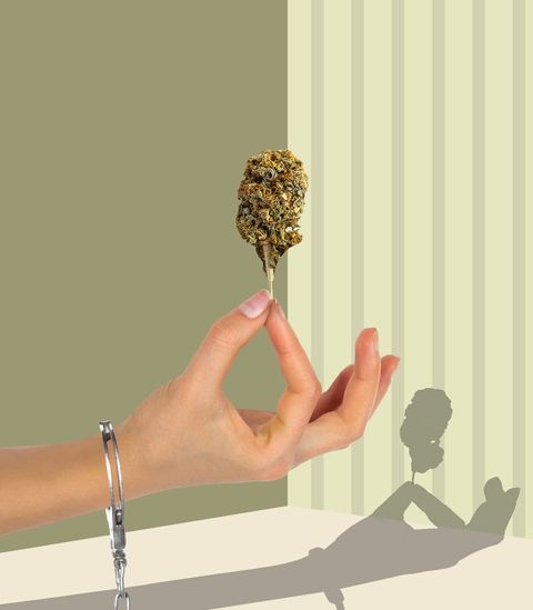 Wall, Hand, Arm, Finger, Room, Plant, Animation, Metal, 