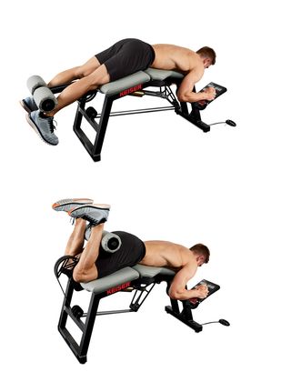 Exercise equipment, Arm, Bench, Weights, Leg, Leg extension, Muscle, Press up, Physical fitness, Chest, 