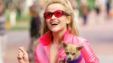 legally blonde