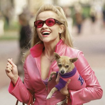 reese witherspoon, legally blonde