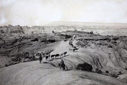 Ontdekkingsreizigers van de door National Geographic ondersteunde Pueblo Bonitoexpeditie in 1921 reizen over het Kaiparowits Plateau in San Juan County in Utah Tijdens de onderzoeksreis leidde archeoloog Neil M Judd de opgravingen van omvangrijke prehistorische runes in het zuidwesten van de VS