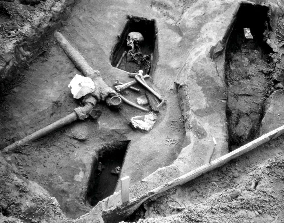 graves were found nestled amid the plumbing at the legion of honor in 1994, the museum turned over about 900 remains to the san francisco medical examiner