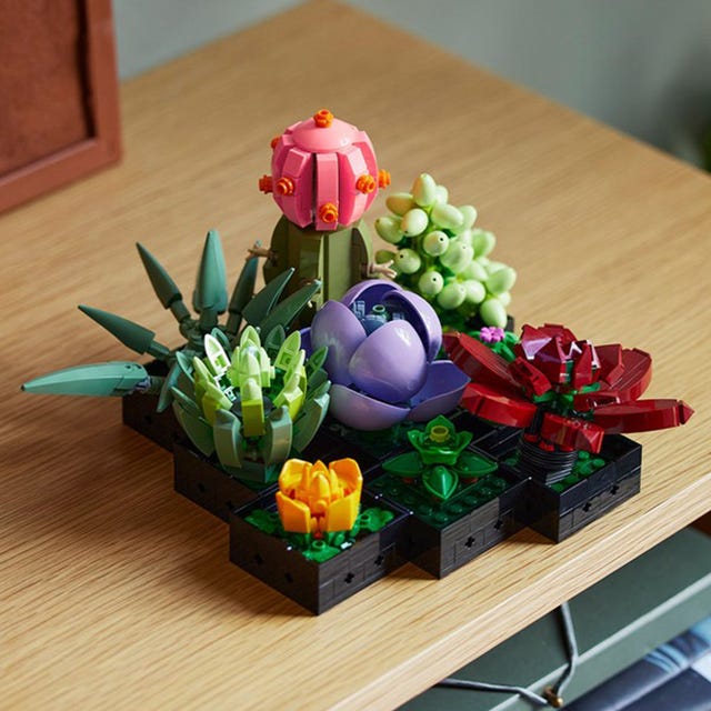 lego botanical collection succulents building kit