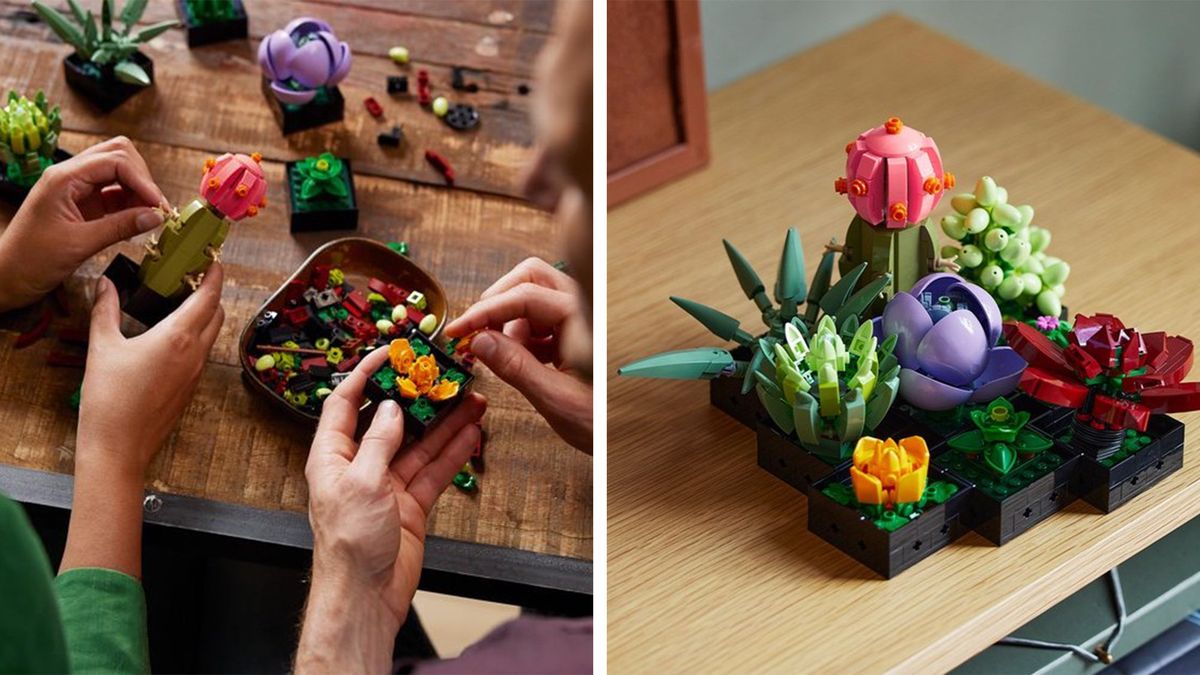 Lego Flower Collection Includes an Orchid and Succulents - Lego Flowers