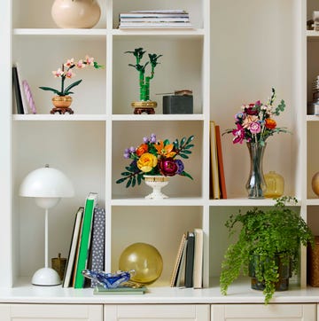 Lego Botanical sets on a nice bookshelf lego botanical sets on a nice bookshelf
