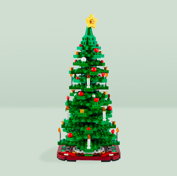 https://hips.hearstapps.com/hmg-prod/images/lego-tree-656f938339738.png?crop=0.502xw:1.00xh;0.240xw,0&resize=360:*