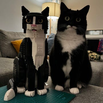 black and white tuxedo lego cat that looks just like real cat, side by side