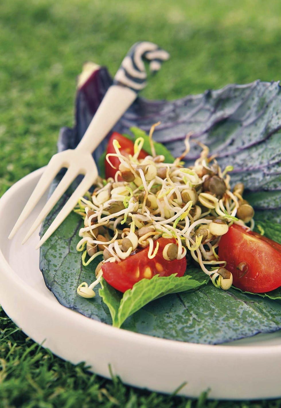 ensalada de lentejas germinadas