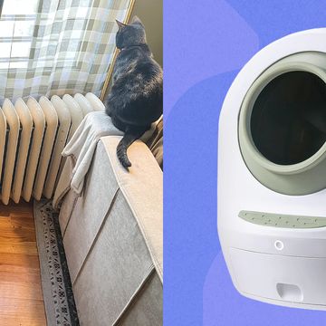 leos loo too covered automatic self cleaning cat litter box