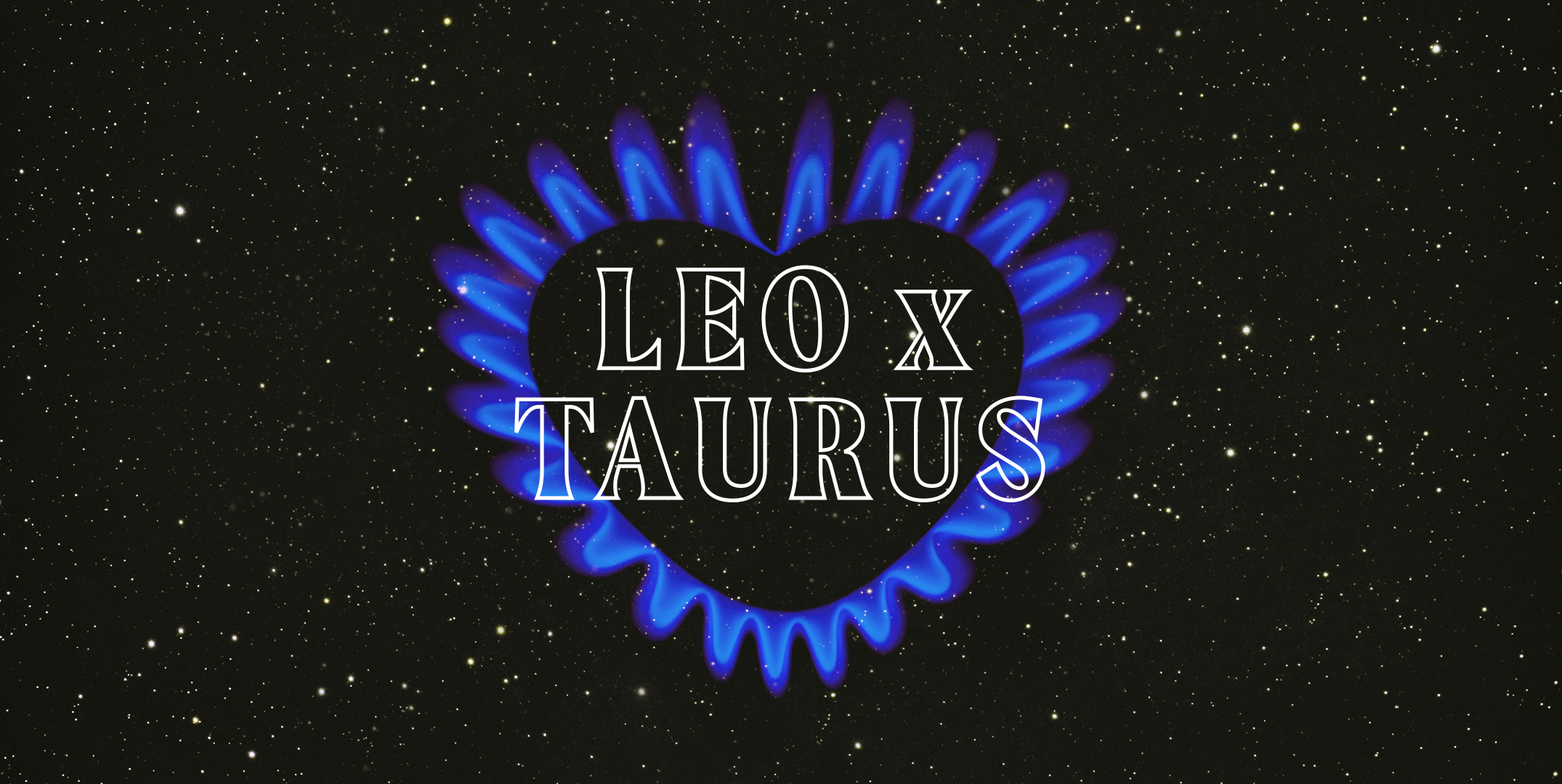 Leo and Taurus Compatibility in Relationship, Friendship, and