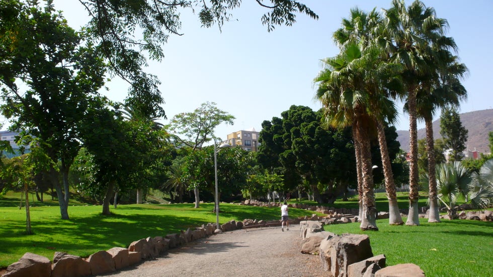 ciudad, españa, parques, running, verano