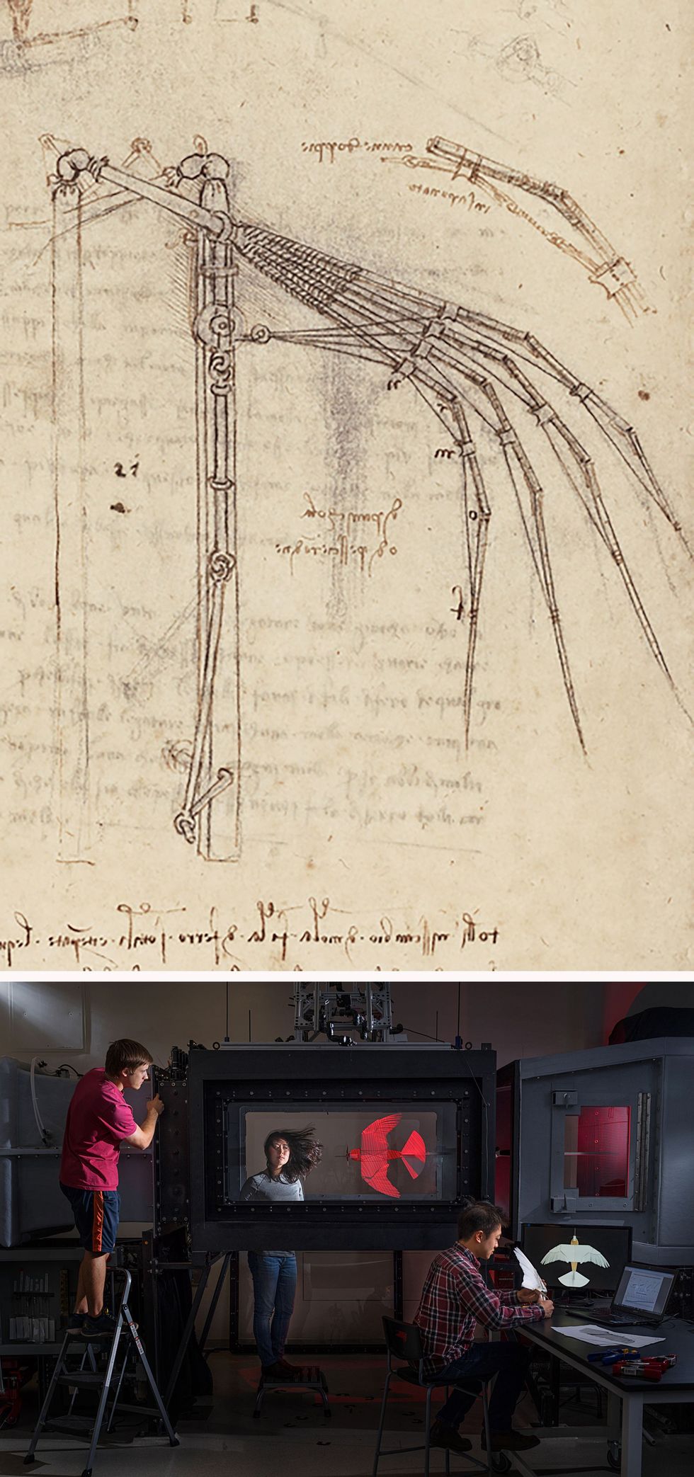 DE INGENIEURBOVEN Da Vinci was gefascineerd door techniek en hij ontwierp bruggen gebouwen en militair materieel Maar het allerliefst wilde hij een machine ontwerpen waar mensen mee konden vliegen Daarom bestudeerde hij meer dan twintig jaar lang de vlucht van dieren Op een pagina in de Codex Atlanticus schetste hij dit ontwerp voor een mechanische vleugel ONDER Promovendi in het lab van de Nederlander David Lentink in Stanford bestuderen de invloed van luchtsnelheid en turbulentie op hun robotvogel PigeonBot in een speciale windtunnel De data die dat oplevert moeten leiden tot een beter begrip van de mechanica van het vliegen van vogels