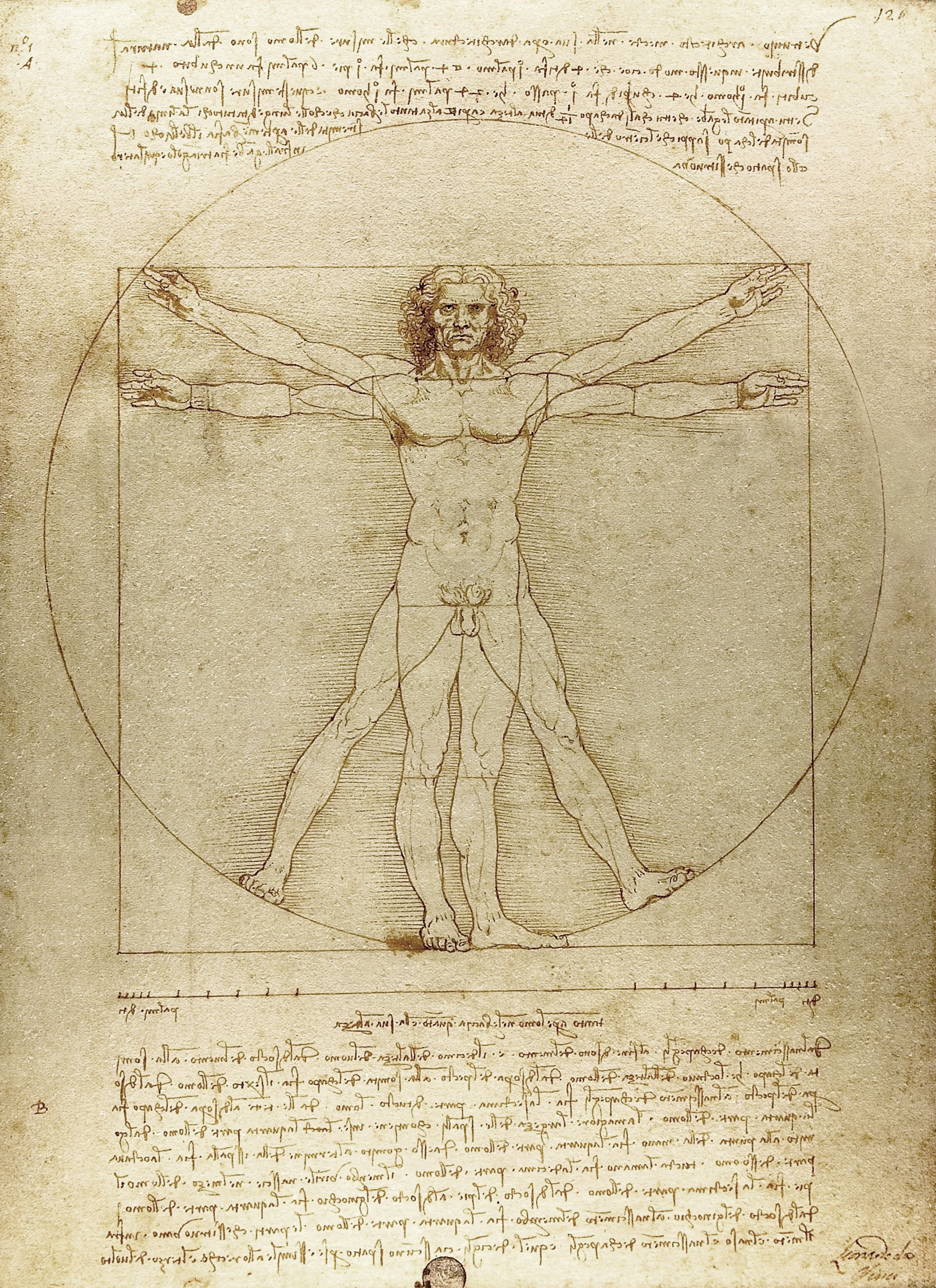 leonardo-da-vinci-vitruvian-man-c-1490-pen-and-ink-with-news-photo-1751559472.pjpeg