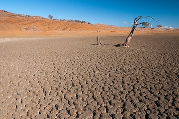 lepredour island 4