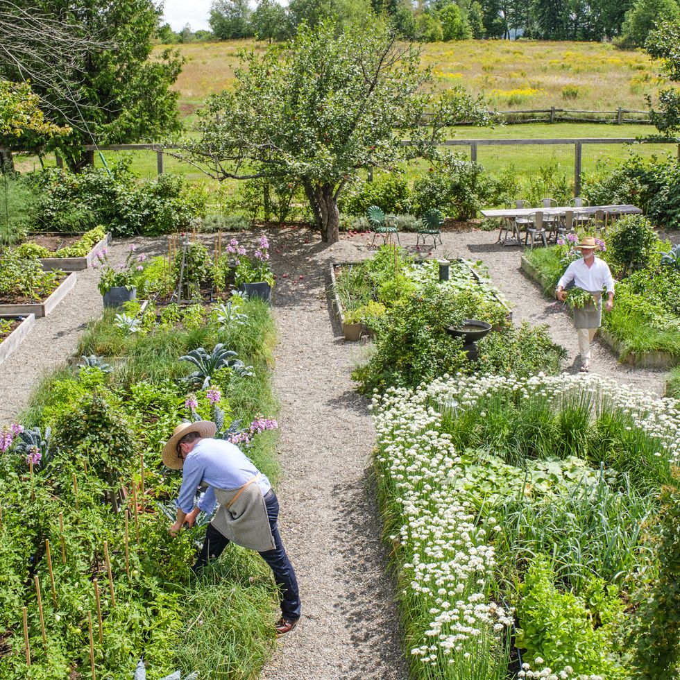 richard ouellette and maxime vandal's historic farm in southeastern quebec the flower and vegetable garden’s 18 raised beds were designed around two old apple trees