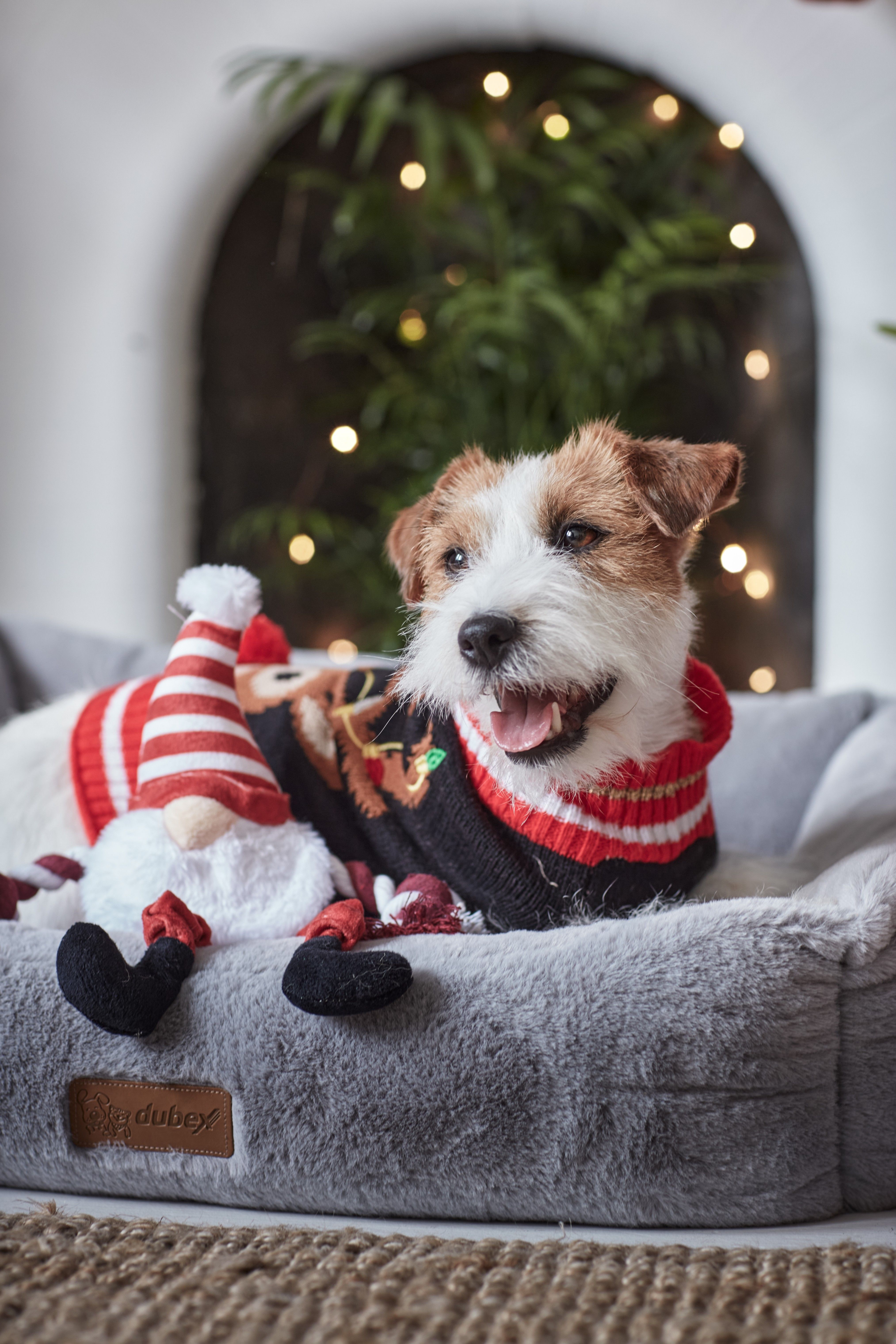 Christmas dog toys new arrivals