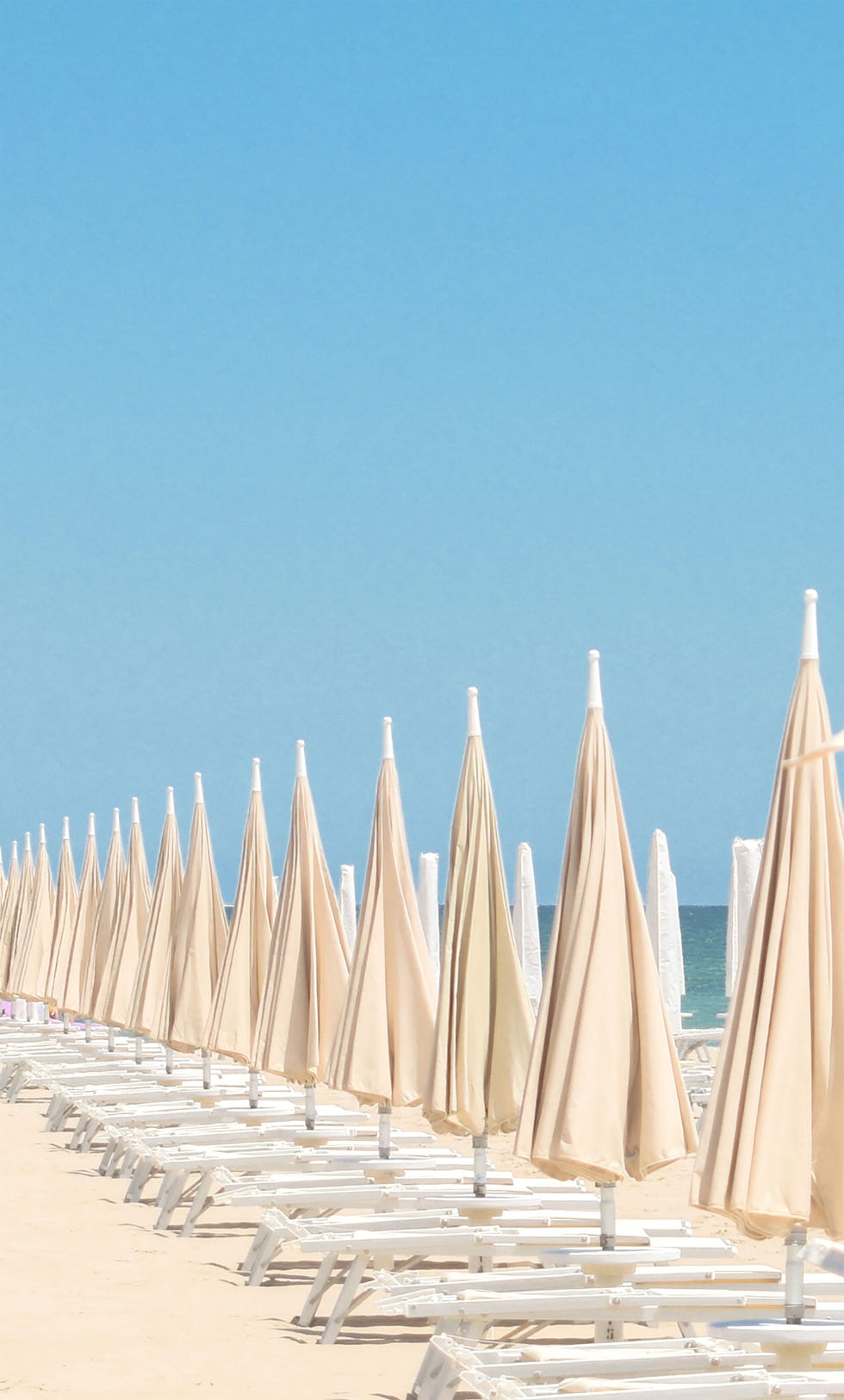 a row of umbrellas on a beach