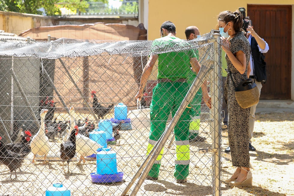 letizia visita una granja escuela en cuenca