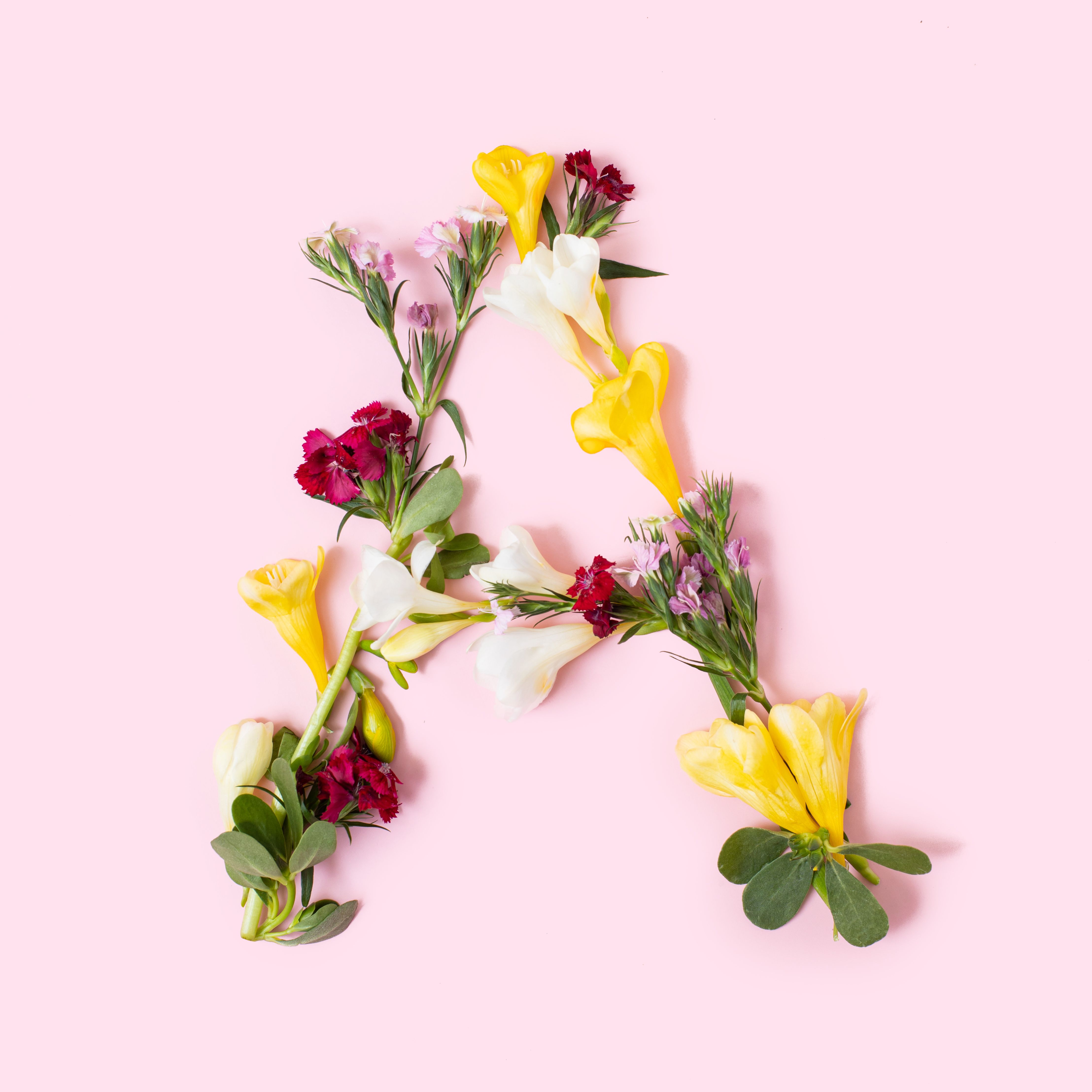 letter a made of natural flowers, petals and leaves floral font concept collection of letters and numbers spring, summer and holidays creative idea