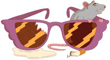 letter from manhattan, alta journal, rat and hollywood sunglasses