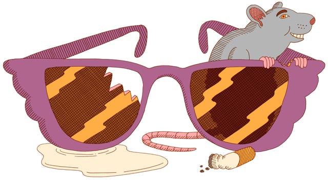 letter from manhattan, alta journal, rat and hollywood sunglasses