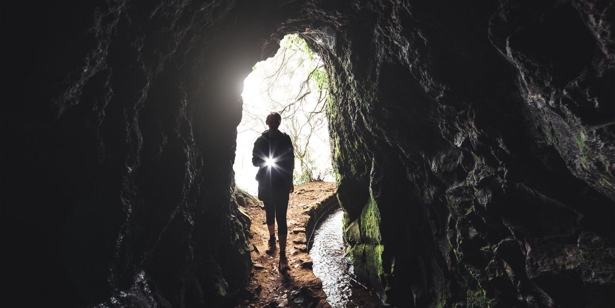 A Routine Excavation Revealed a Stunning Maze of Hidden Tunnels Beneath a Tiny Garden