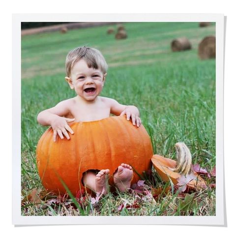 levi slatter as a baby sitting in a pumpkin