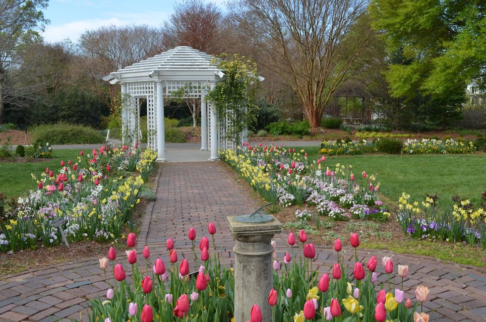 the grace arents garden at the lewis ginter botanical garden