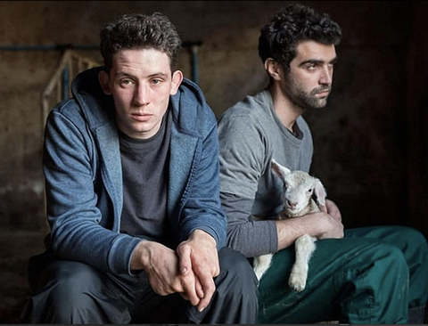 lgbtq romance movies  god's own country