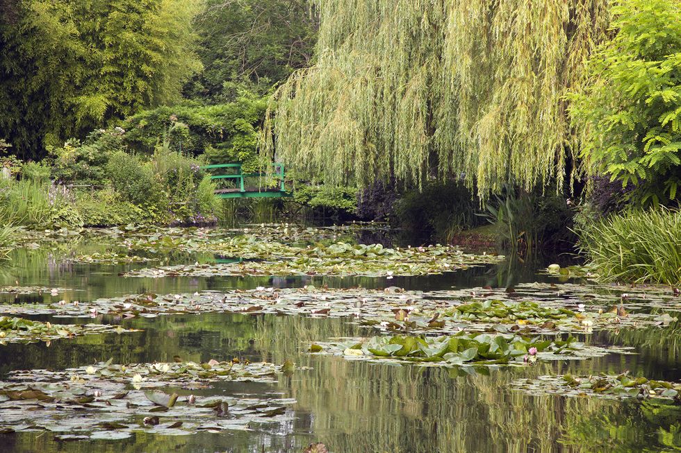 Landscape of Monet`s garden, Giverny, France