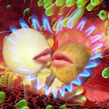 Leo and Libra Compatibility leo and libra compatibility