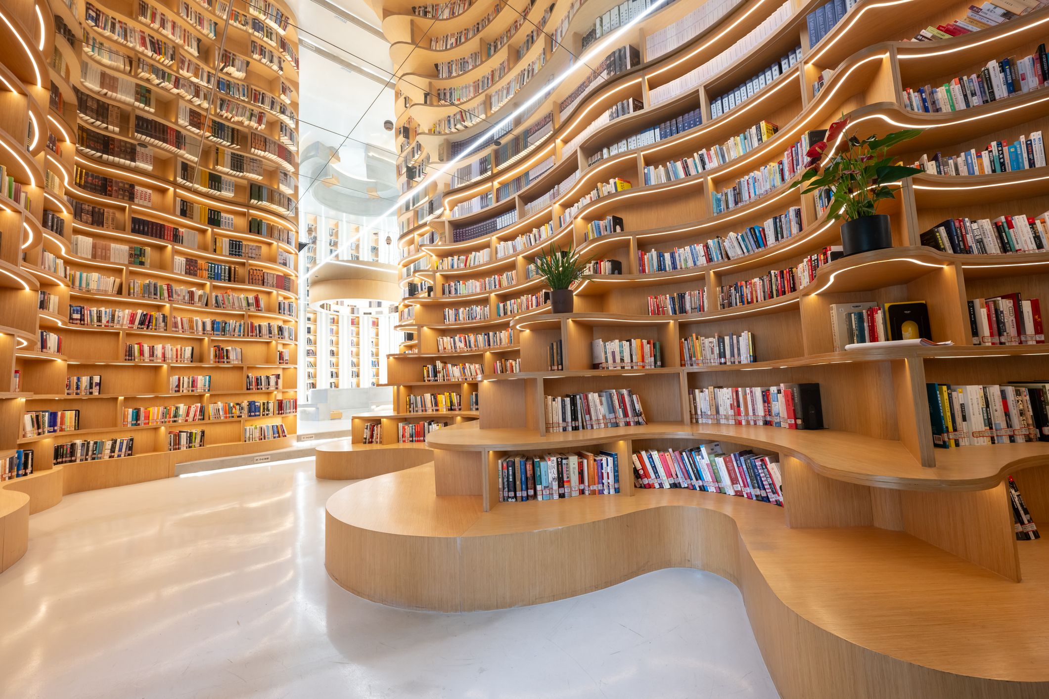 25 librerías de Madrid bonitas y con encanto para visitar