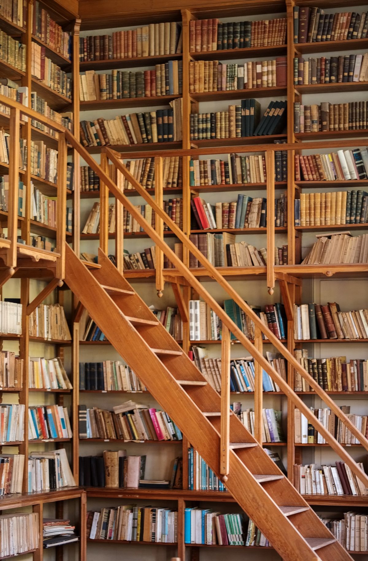 brown wooden shelves fully packed with books in a library with a ladder