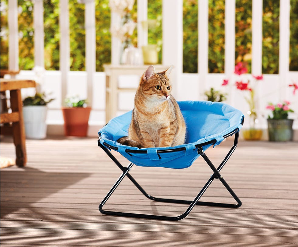 Lidl cat bed