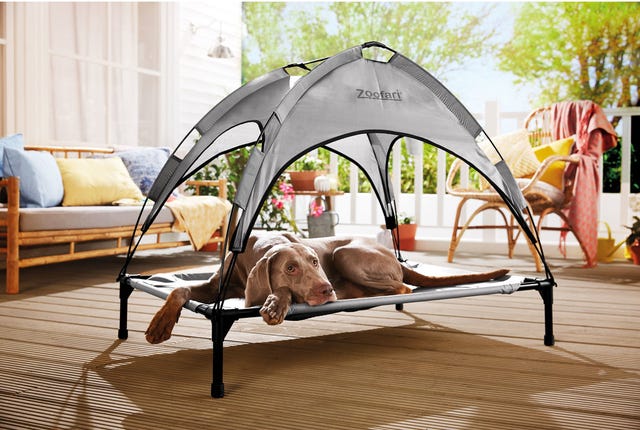 Lidl dog bed