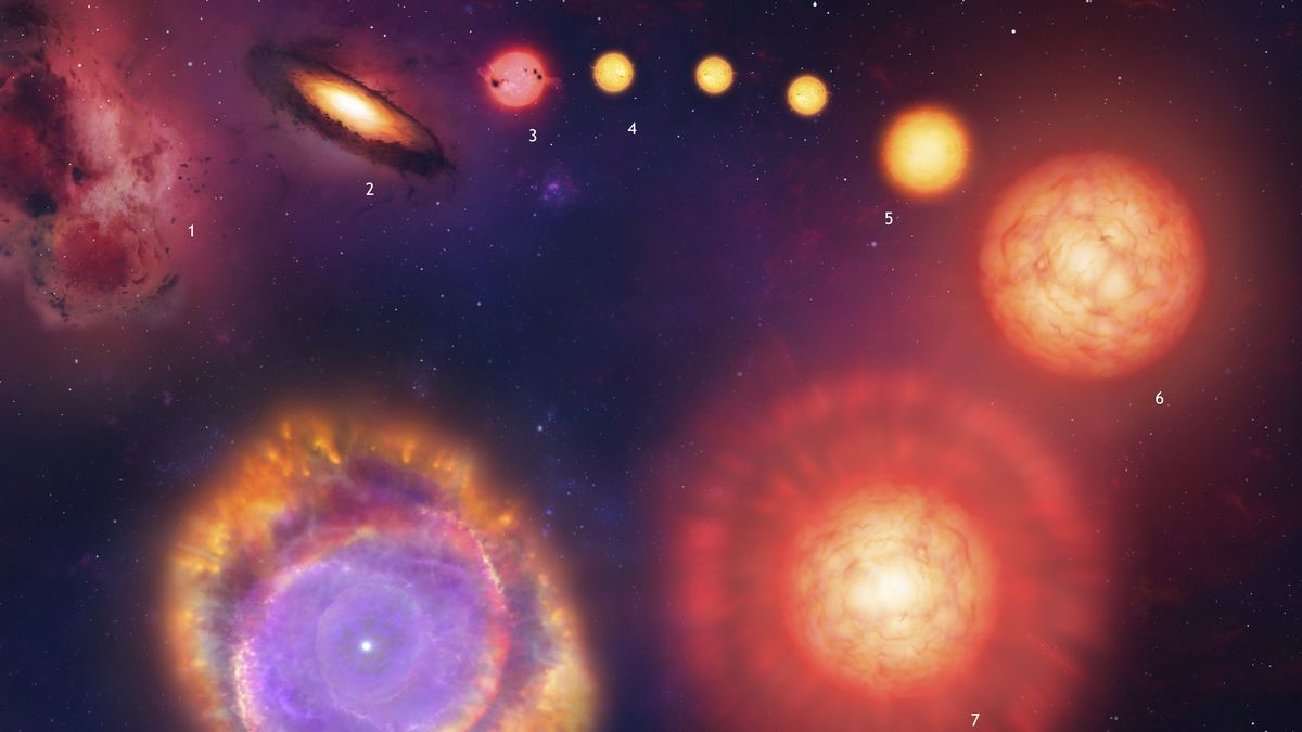 preview for 8 curiosidades sobre el cosmos