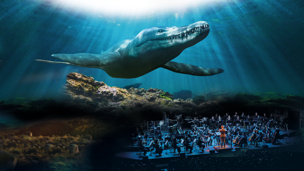 life on our planet in concert