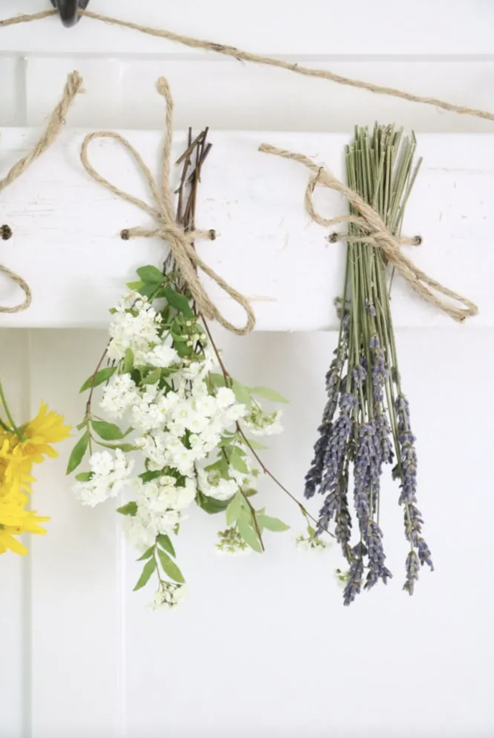 How to Preserve and Use Dried Flowers