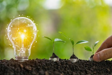 consejos para ahorrar luz y cuidar el planeta