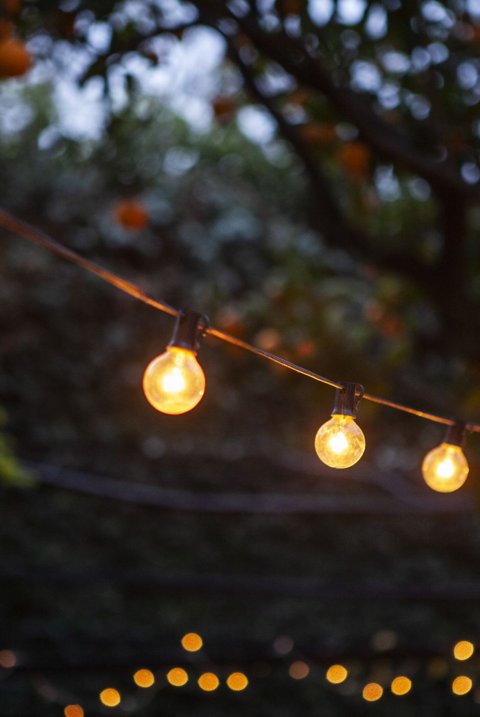 light bulbs hanging from cable against back yard