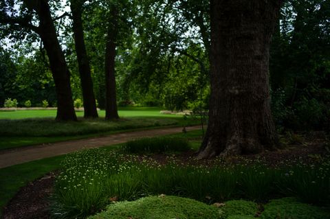 buckingham palace gardens open to visitors for summer
