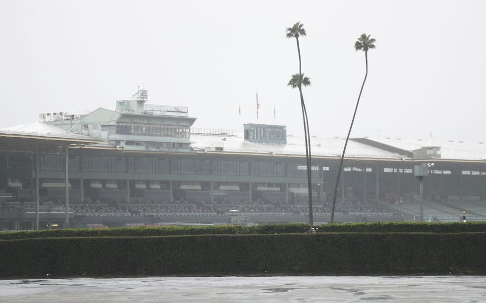 Santa Anita Park Track Cancels Races As Over 20 Horses Have Died There In Under Three Months