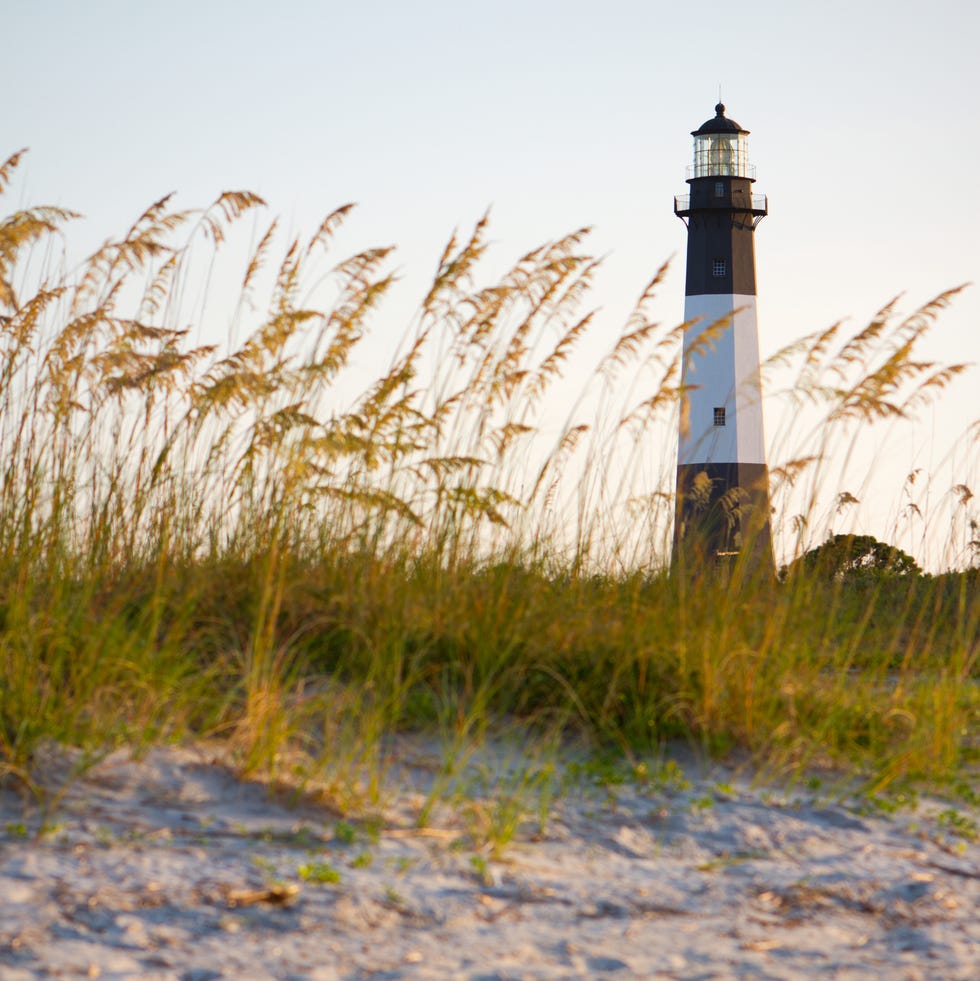 A lighthouse on the beach with sand and grass a lighthouse on the beach with sand and grass