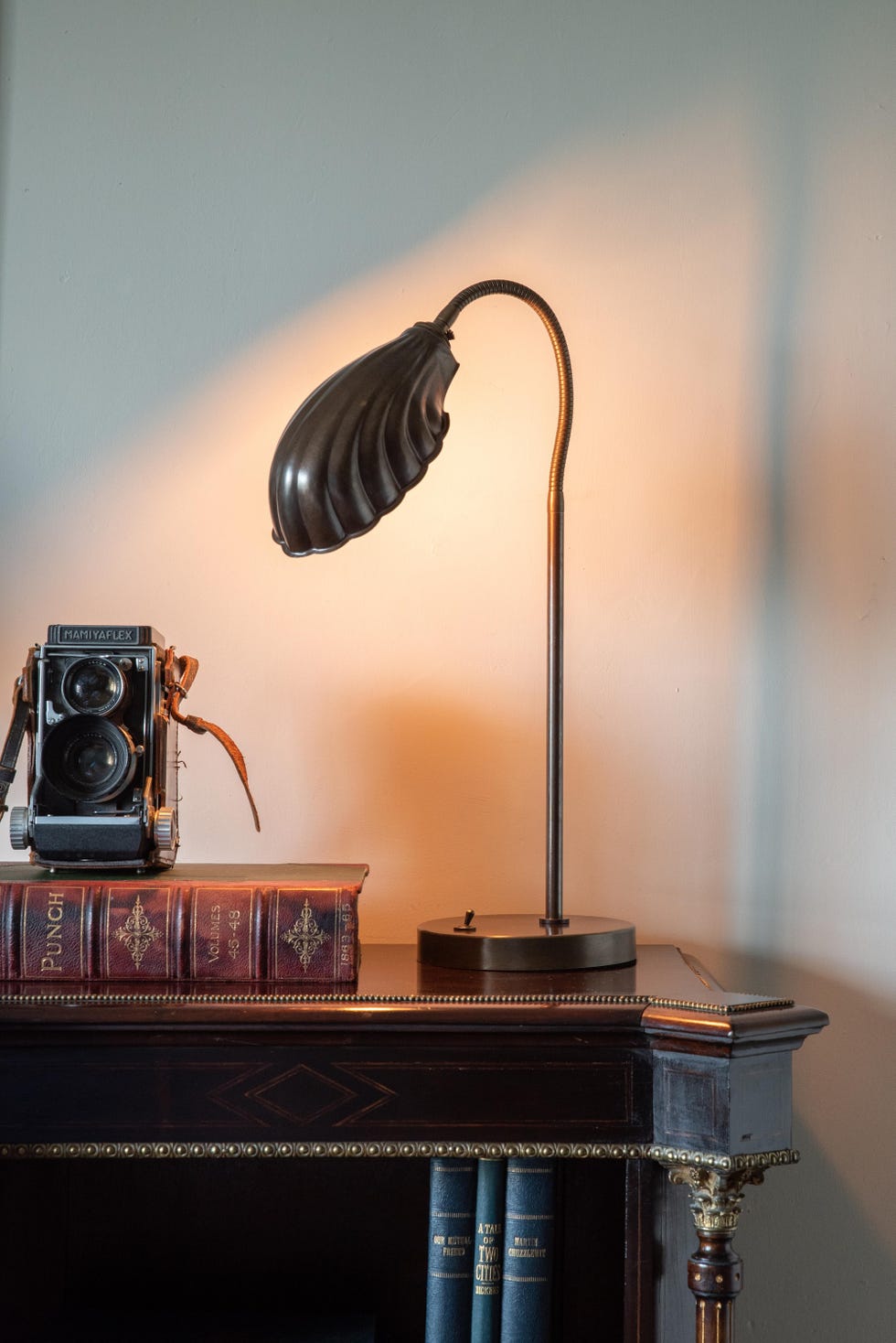 desk scene featuring a vintage camera and a unique lamp