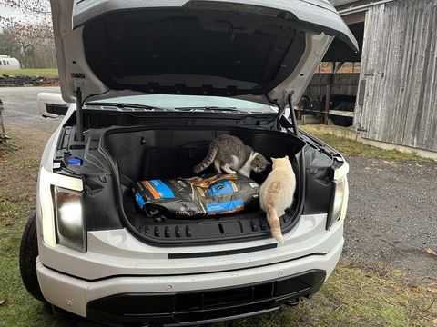 dua kucing di bagasi depan terbuka dari ford lightning