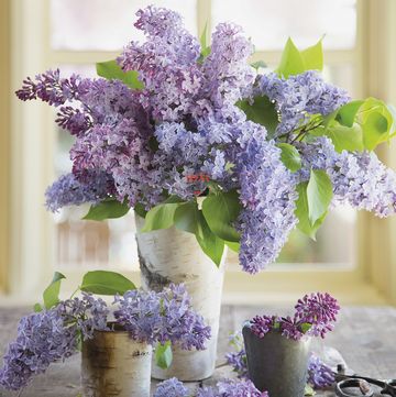 decora tu casa con ramos de lilas en jarrones