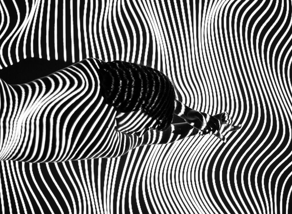 Monochrome, Wildlife, Black-and-white, Line, Zebra, Pattern, Terrestrial animal, Organism, Photography, 