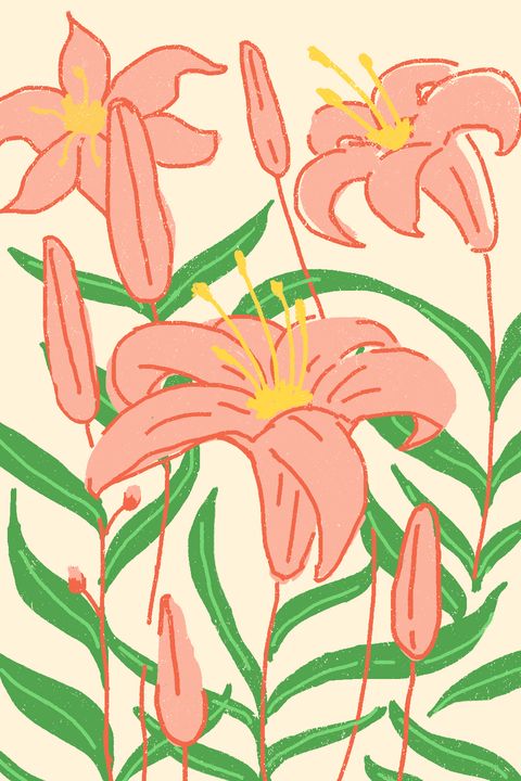 Flower, Plant, Botany, Daylily, Pedicel, Flowering plant, stargazer lily, tiger lily, Graphics, Clip art, 